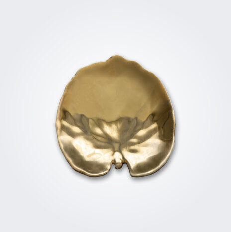 Gold Alchemille Leaf Plate Set