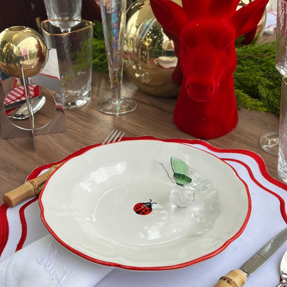 Ladybug Ceramic Dinner Plate Set